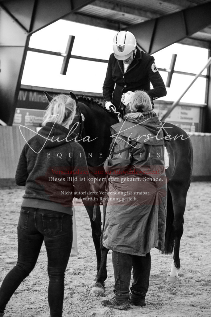 DSC_7595 | Pferde- und Turnierfotografie in Westsachsen. Pferdeportraits, Auftragszeichnungen und intuitive Kunst.