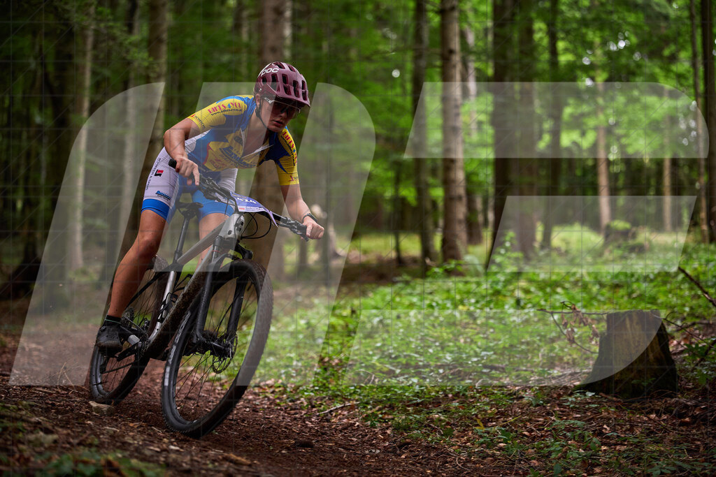 Betriebszentrum Laubenbachmühle, Frankenfels, Österreich - 13. September 2025: Dirndltal Race - Fun und Trophy RaceFotograf: Martin Bihounek / martinbihounek.com | 13. September 2025 Betriebszentrum Laubenbachmühle, Frankenfels, Österreich : Dirndltal Race - Fun und Trophy Race •••••Photo by: Martin Bihounek / martinbihounek.comInsta: @martinbihounekcom