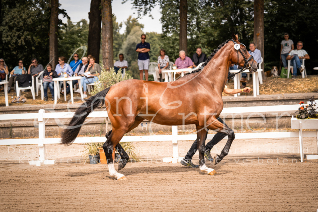 4.Fr00024 | Leoni Ertmer Photography - Realisiert mit Pictrs.com