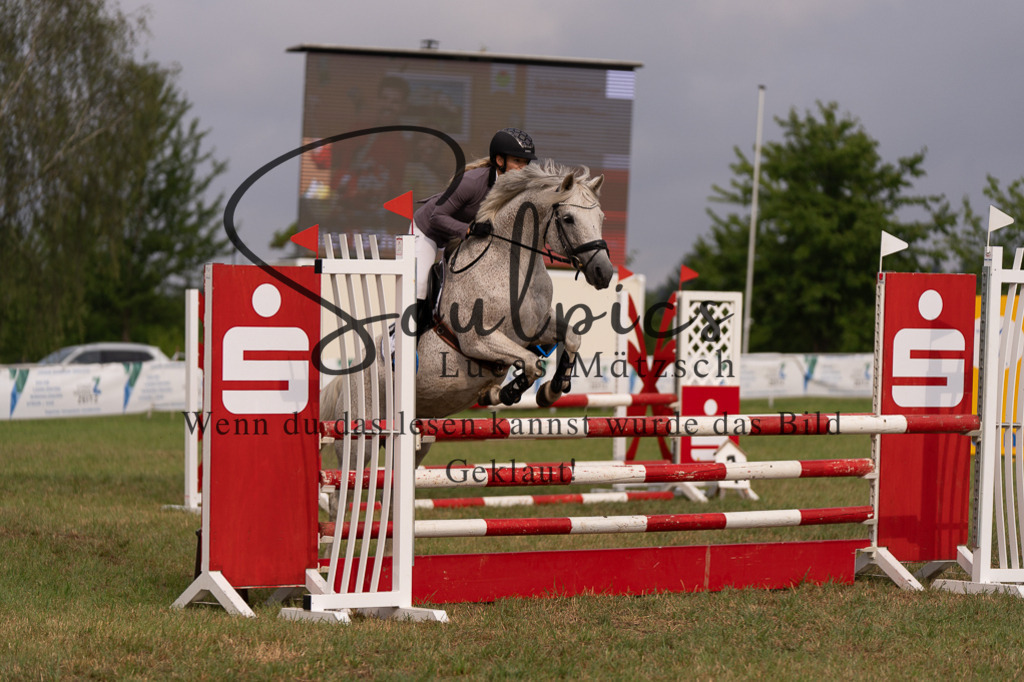 A7506005 | Turnier/Reitfotograf