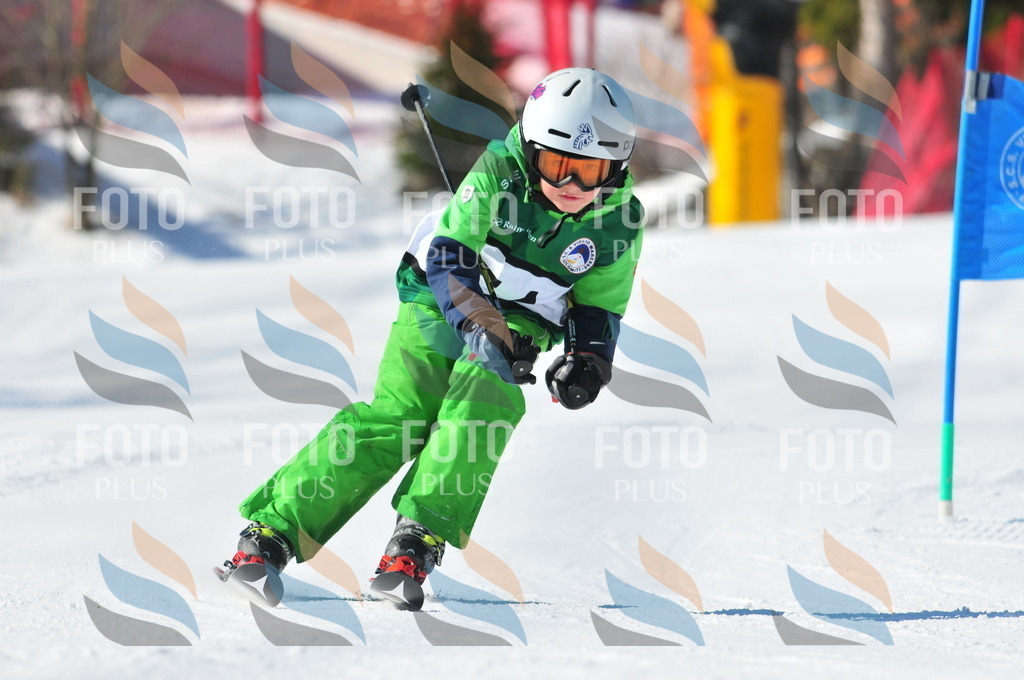 C2141 | holidayphoto