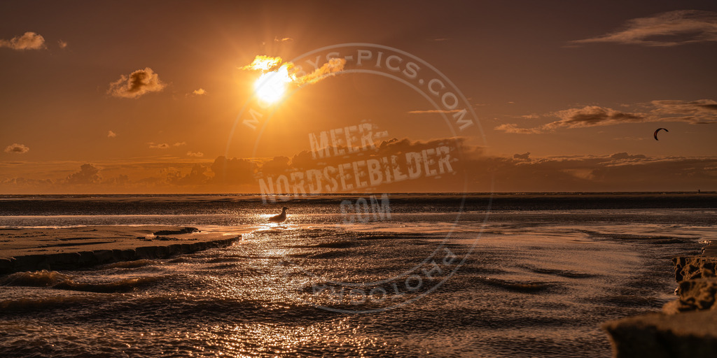 Möwe trifft Kiter im Sonnenuntergang | Abendstimmung in St. Peter-Ording