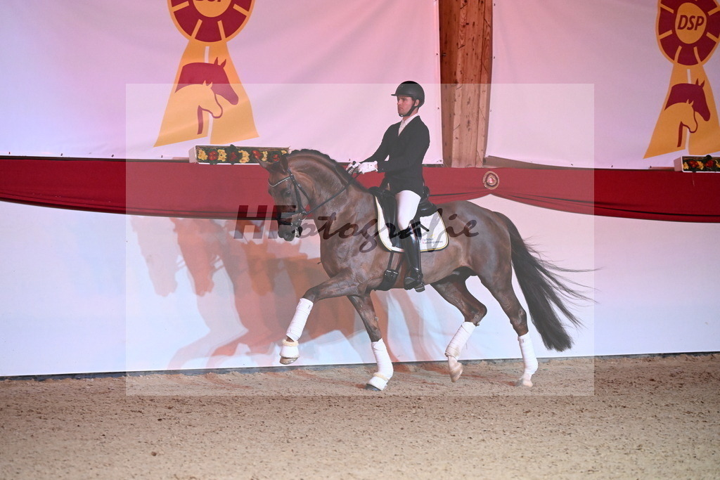 Feliciano_Wadenspanner_2254380 | hf-fotografie - Realisiert mit Pictrs.com