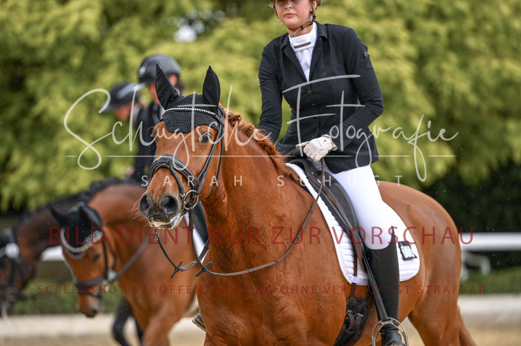 Schugtsche-Aluta25-41.Amat-Dressurprf.A_-481 | Schugtsche Fotografie - Realisiert mit Pictrs.com