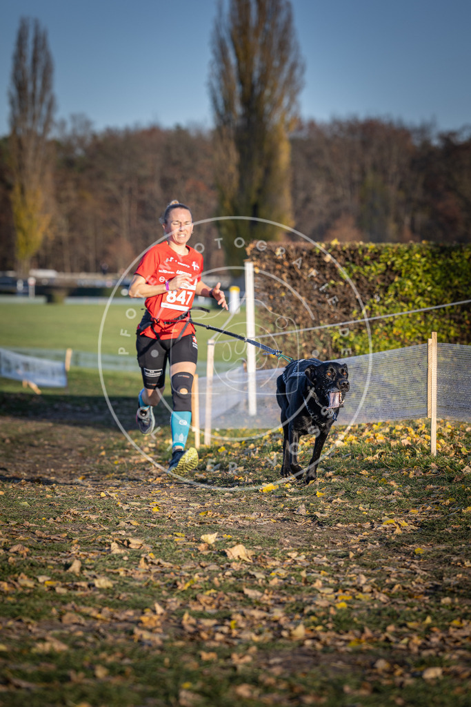 CaniXpix_DV3A3807 | Hundefotografie, Tierfotograf, Pfotenfotografie, Fotoshooting Hund, Hunde Portrait, Hundesport, Hundeportraits, Heideshooting, Hunde, Sportfotograf, Hundefotograf, Turnierhundsport, THS,  - Realisiert mit Pictrs.com