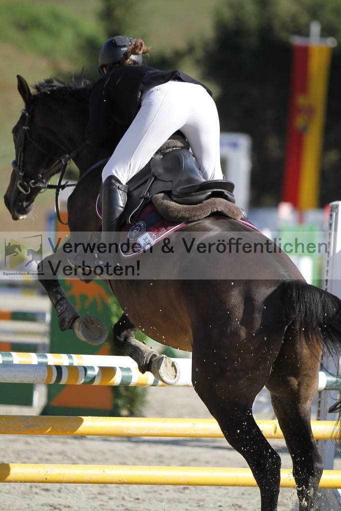 _MG_3731 | equestrian-live-com