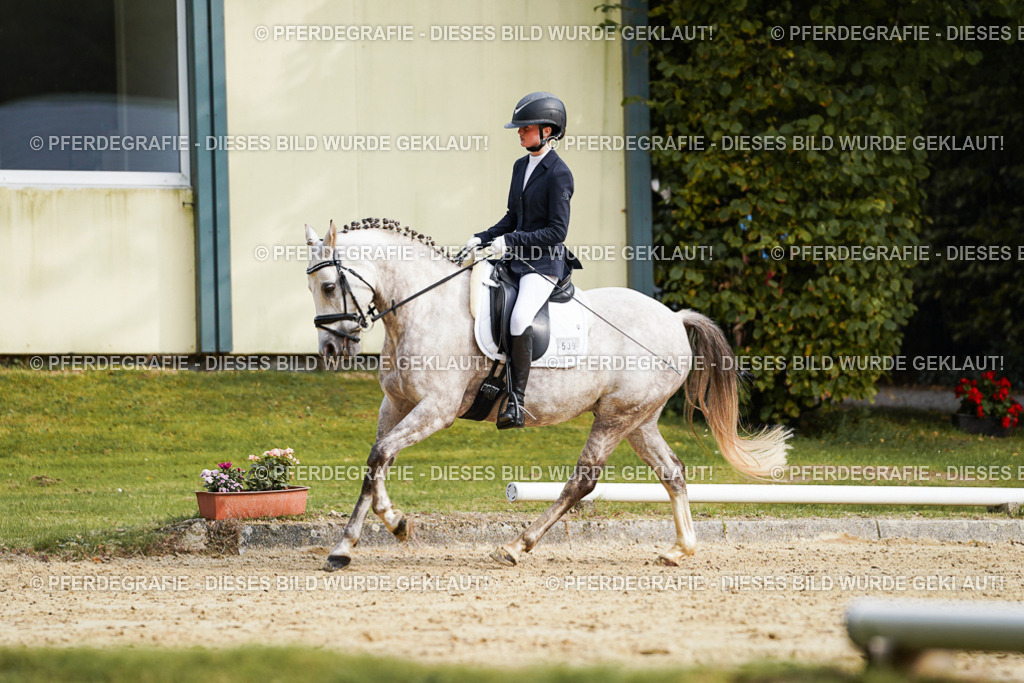 DSC04896 | Pferdegrafie