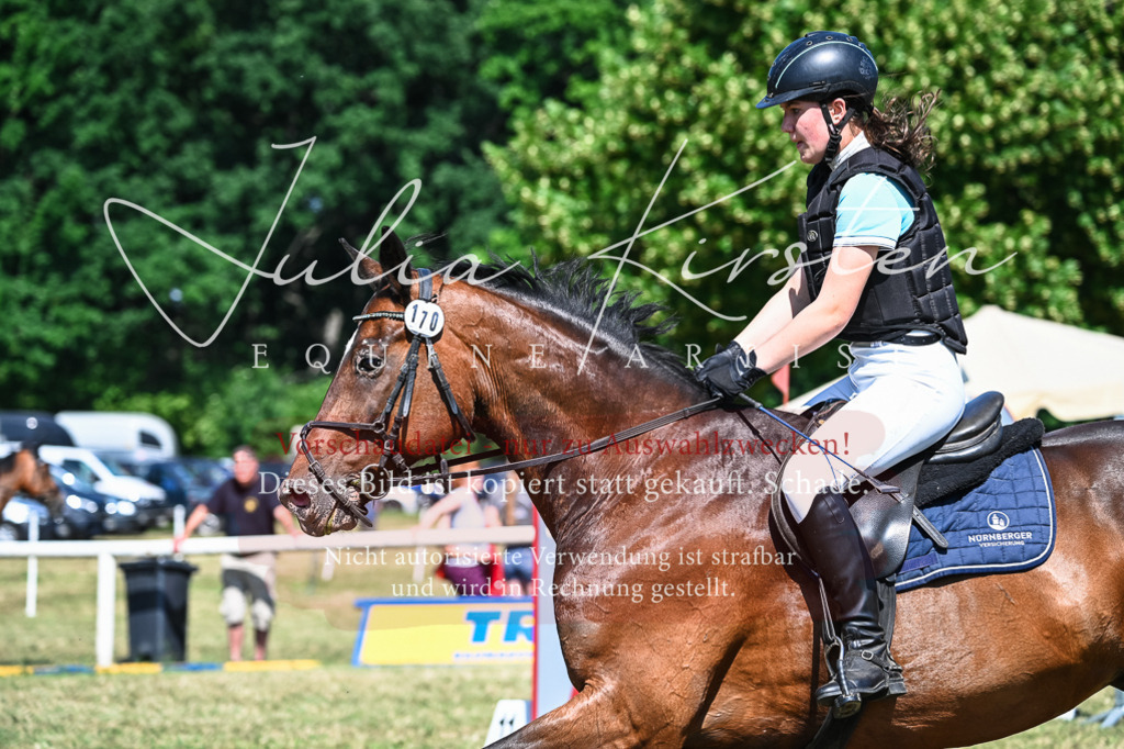 DSC_1504 | Pferde- und Turnierfotografie in Westsachsen. Pferdeportraits, Auftragszeichnungen und intuitive Kunst.