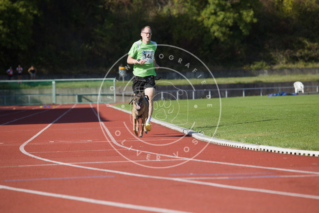 0L8A9466 | Hundefotografie, Tierfotograf, Pfotenfotografie, Fotoshooting Hund, Hunde Portrait, Hundesport, Hundeportraits, Heideshooting, Hunde, Sportfotograf, Hundefotograf, Turnierhundsport, THS,  - Realisiert mit Pictrs.com