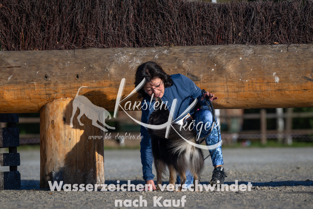 0956-90071 | kk-dogfotos