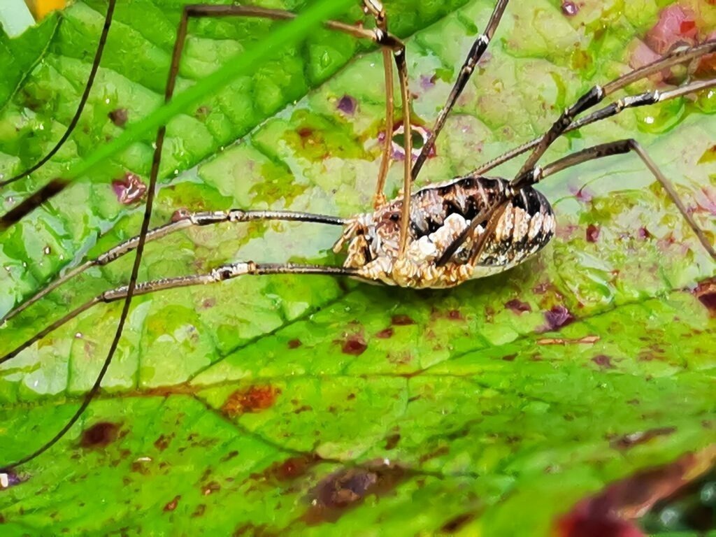 PSX_20221009_232951 | mtkfoto_ - Realisiert mit Pictrs.com