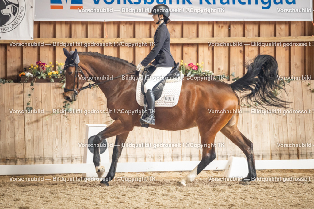 _D5A1380 | Emotionale Pferde- & People-Fotografie rund um Heidelberg, Leimen & Umgebung. Natürliche Fotos von Pferd, Mensch & Familie. Jetzt Termin sichern!