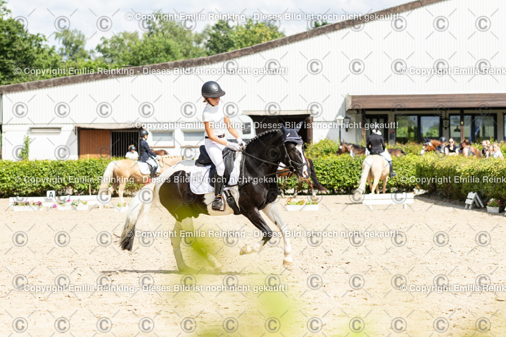 CL5A1212 | Emilia Reinking Fotografie - Realisiert mit Pictrs.com