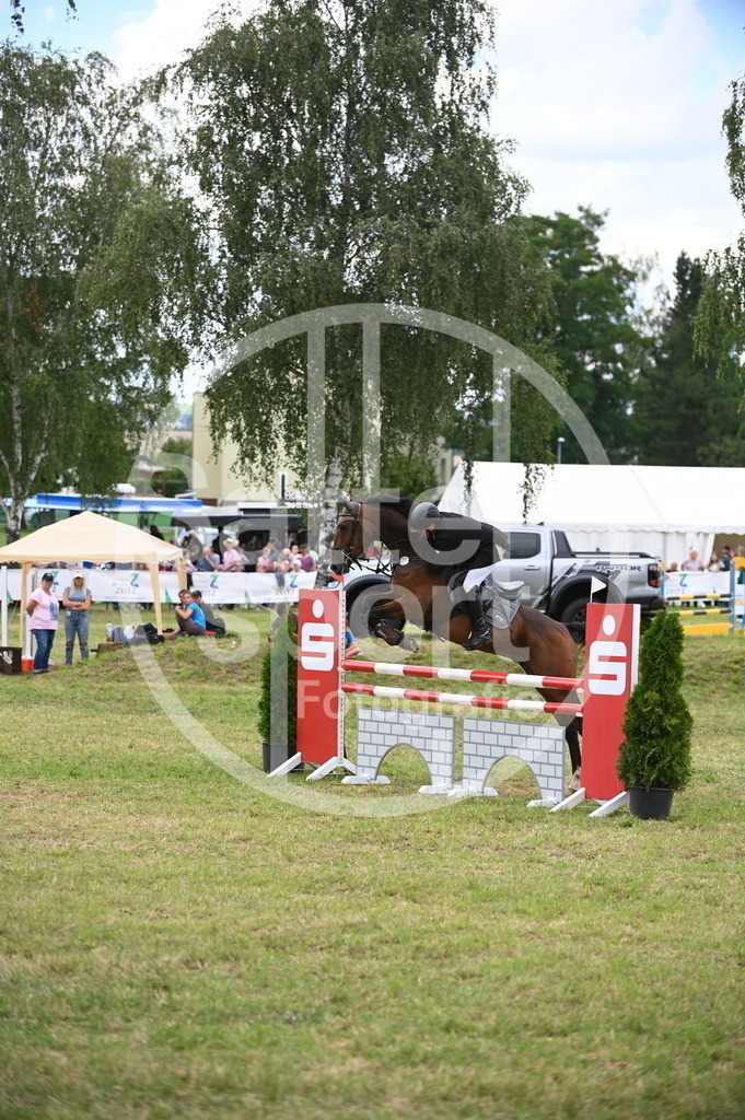 DSC_7224 | sattelsport - Realisiert mit Pictrs.com