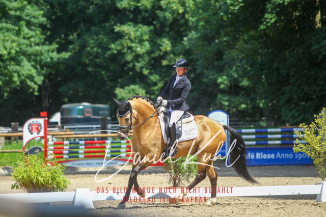 DKP42506 | Turniersportfotografie; Pferdefotografie; Dressurfotografie