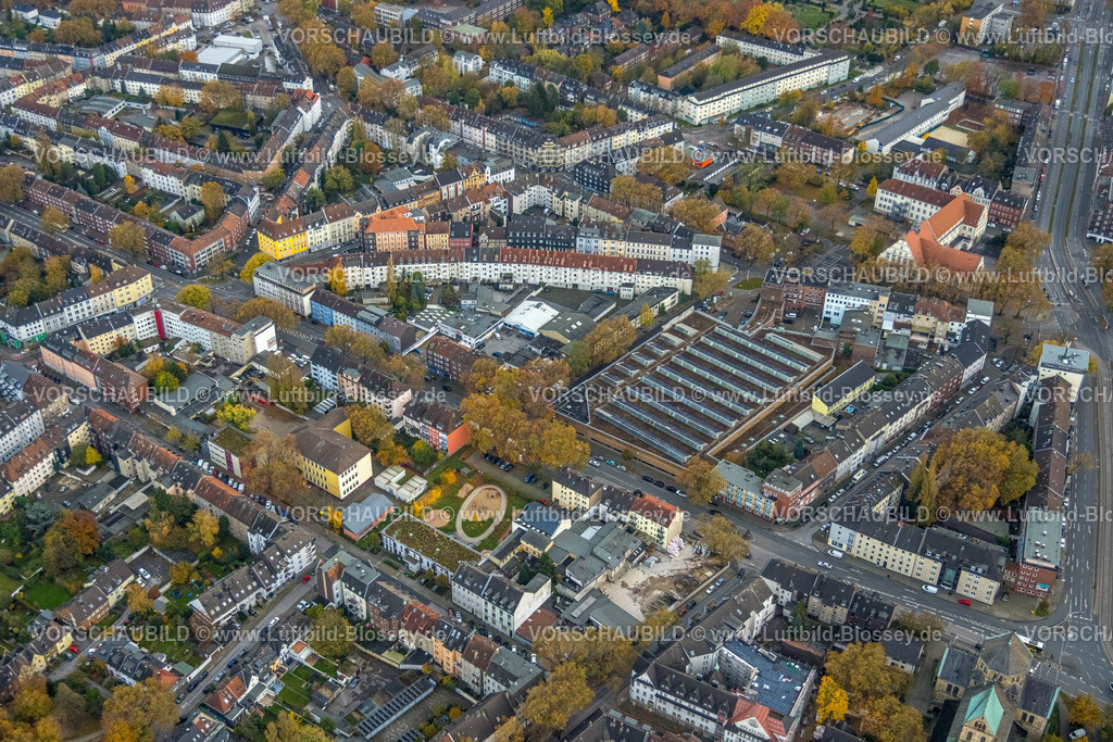 Gelsenkirchen231102999 | Luftbild, Ortsansicht Altstadt mit Wohngebiet Kinderspielplatz und Mietshäuser mit Gewerbegebiet Bogestra Straßenbahndepot, umgeben von herbstlichen Laubbäumen, Altstadt, Gelsenkirchen, Ruhrgebiet, Nordrhein-Westfalen, Deutschland