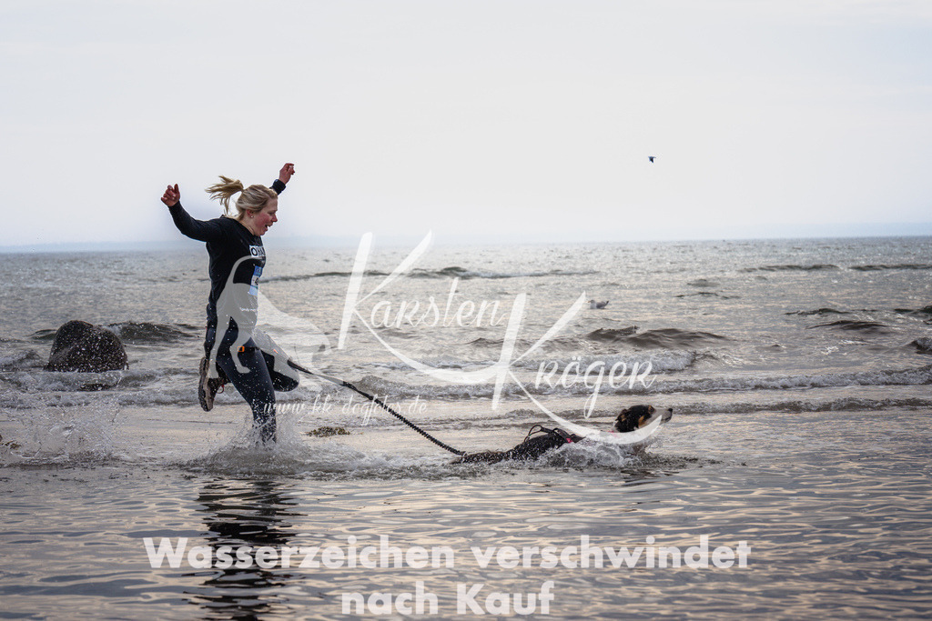 1138_ZZ99711 | kk-dogfotos