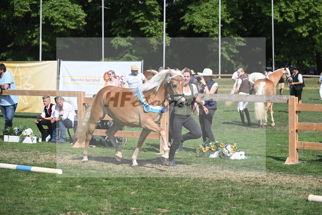 Kat-Nr. 39 Pepsi_Berger_20231650 | hf-fotografie - Realisiert mit Pictrs.com