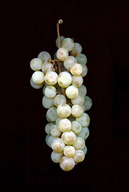 Weintrauben | Weinbeeren hell - Realisiert mit Pictrs.com