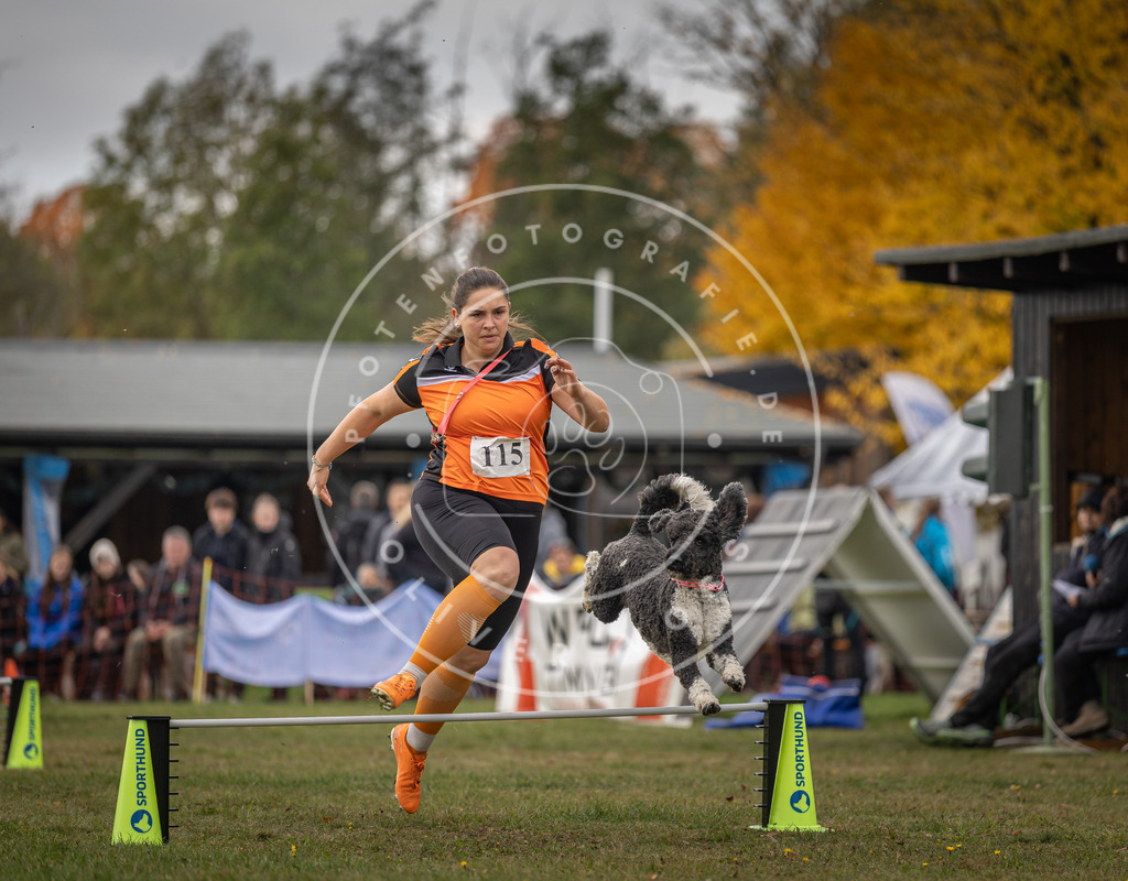 Pfotenfotografie_DV3A6731 | Hundefotografie, Tierfotograf, Pfotenfotografie, Fotoshooting Hund, Hunde Portrait, Hundesport, Hundeportraits, Heideshooting, Hunde, Sportfotograf, Hundefotograf, Turnierhundsport, THS,  - Realisiert mit Pictrs.com