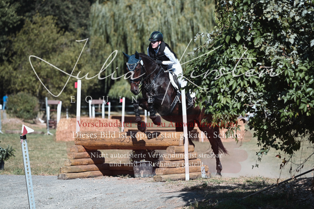 DSC_8659 | Pferde- und Turnierfotografie in Westsachsen. Pferdeportraits, Auftragszeichnungen und intuitive Kunst.