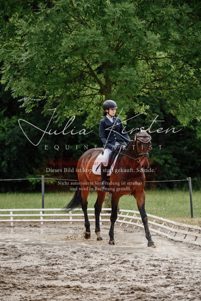 DSC_9565 | Pferde- und Turnierfotografie in Westsachsen. Pferdeportraits, Auftragszeichnungen und intuitive Kunst.