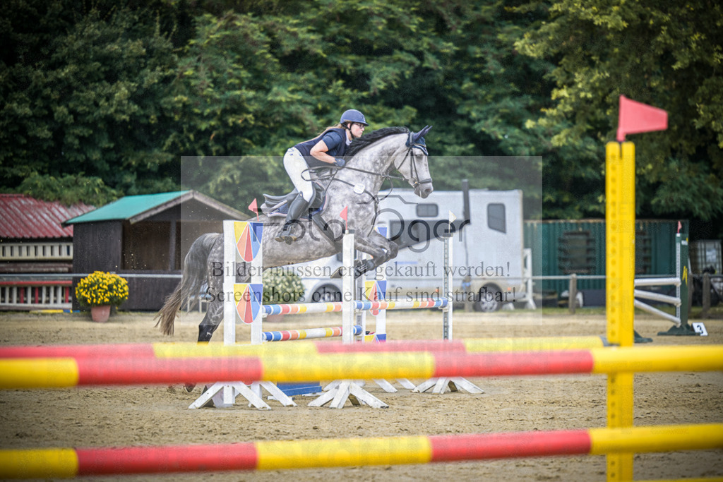 DOS_8641 | Entdecke hochwertige Reitturnierfotos von Foto Oger. Professionell, emotional und authentisch – jetzt Lieblingsmomente im Shop bestellen.Deutschlandweite Turnierfotografie. - Realisiert mit Pictrs.com