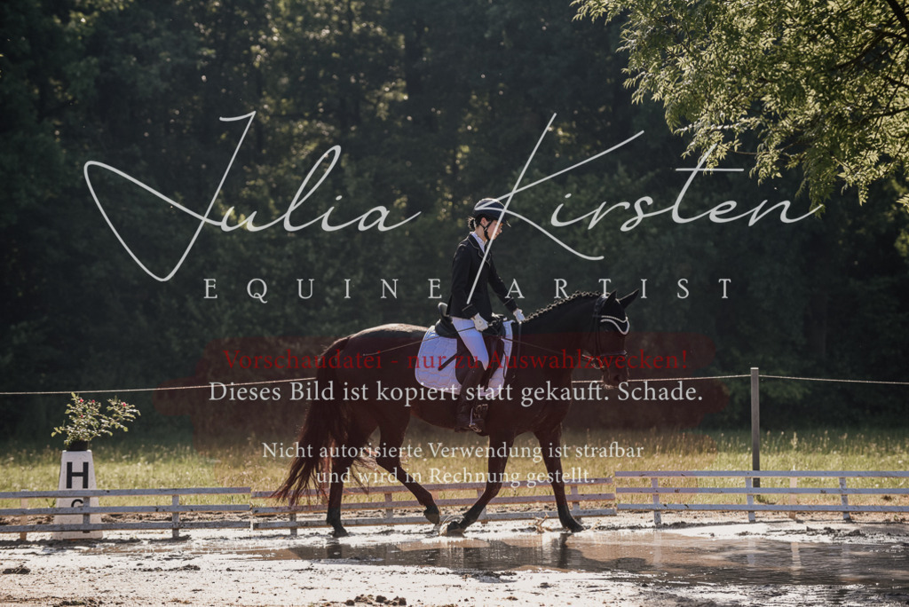 DSC_7770 | Pferde- und Turnierfotografie in Westsachsen. Pferdeportraits, Auftragszeichnungen und intuitive Kunst.