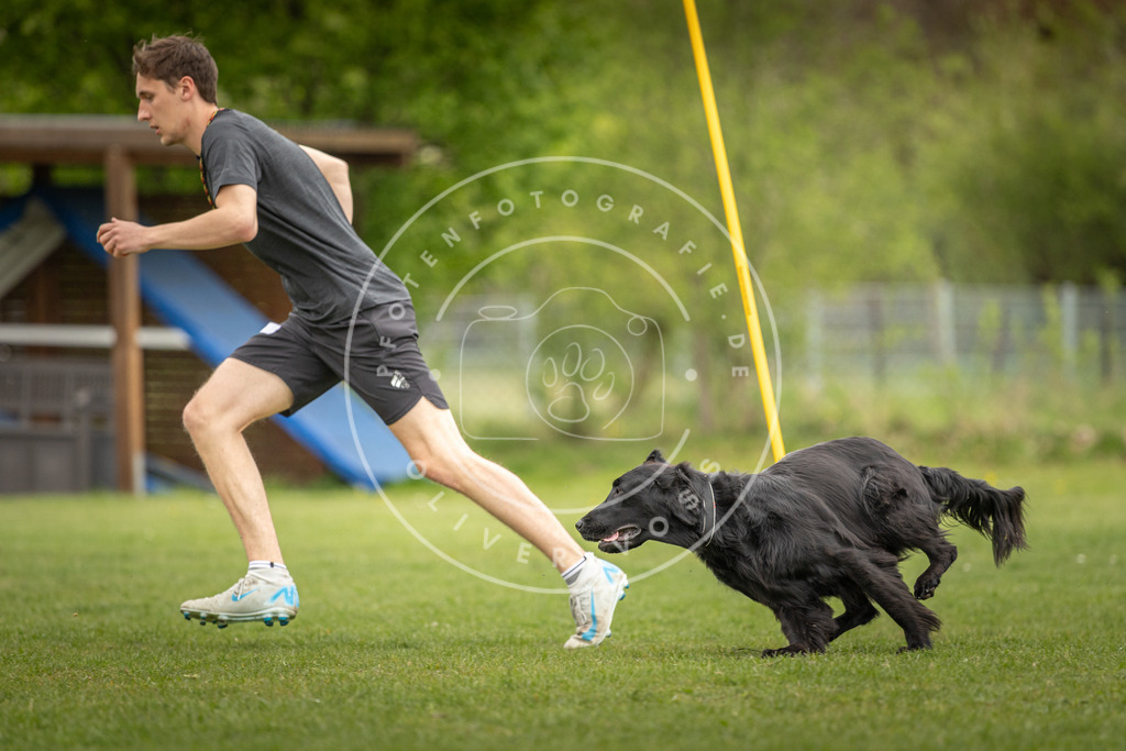 Pfotenfotografie_DV3A9781 | Hundefotografie, Tierfotograf, Pfotenfotografie, Fotoshooting Hund, Hunde Portrait, Hundesport, Hundeportraits, Heideshooting, Hunde, Sportfotograf, Hundefotograf, Turnierhundsport, THS,  - Realisiert mit Pictrs.com