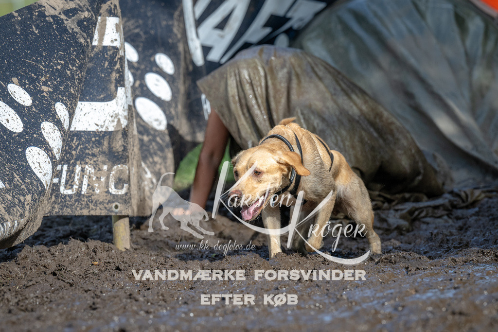 1657_ZZ90607 | kk-dogfotos