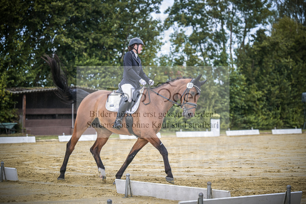 DOS_0957 | Entdecke hochwertige Reitturnierfotos von Foto Oger. Professionell, emotional und authentisch – jetzt Lieblingsmomente im Shop bestellen.Deutschlandweite Turnierfotografie. - Realisiert mit Pictrs.com