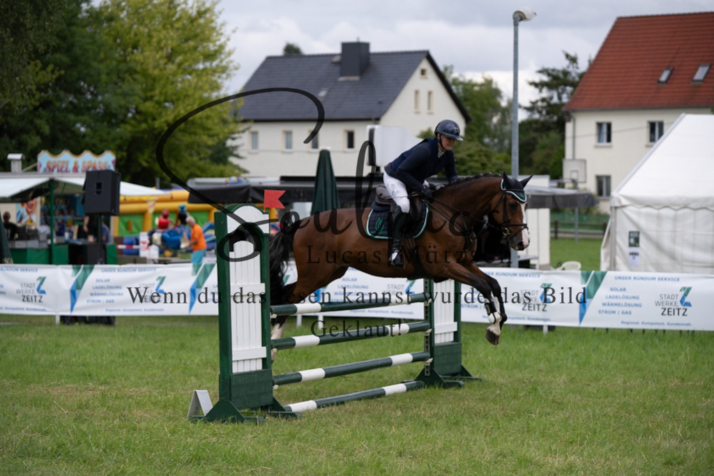 A7V03920 | Pferdefotograf