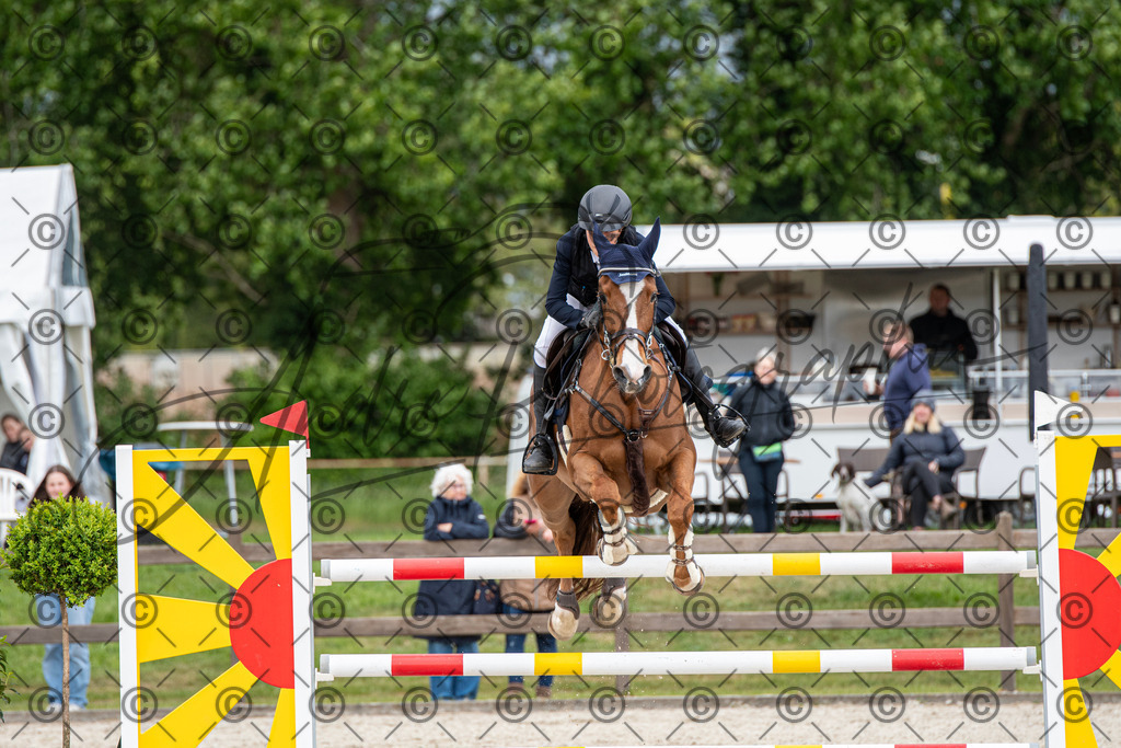 KPT_0288 | andre_photographic