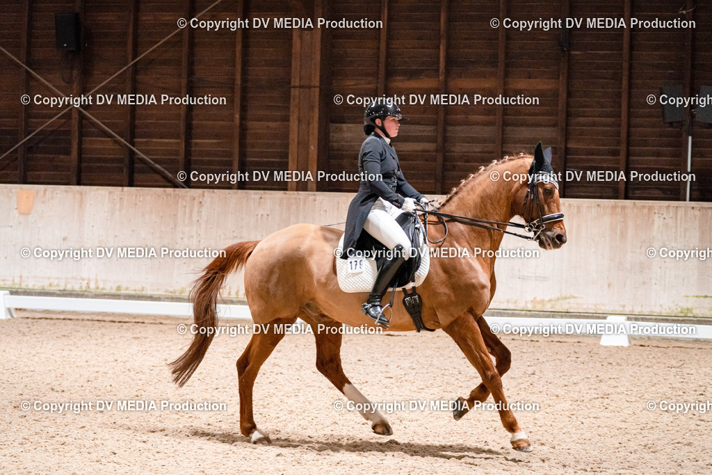 Dressur Tag 2-618 | dv-media-shop - Realisiert mit Pictrs.com