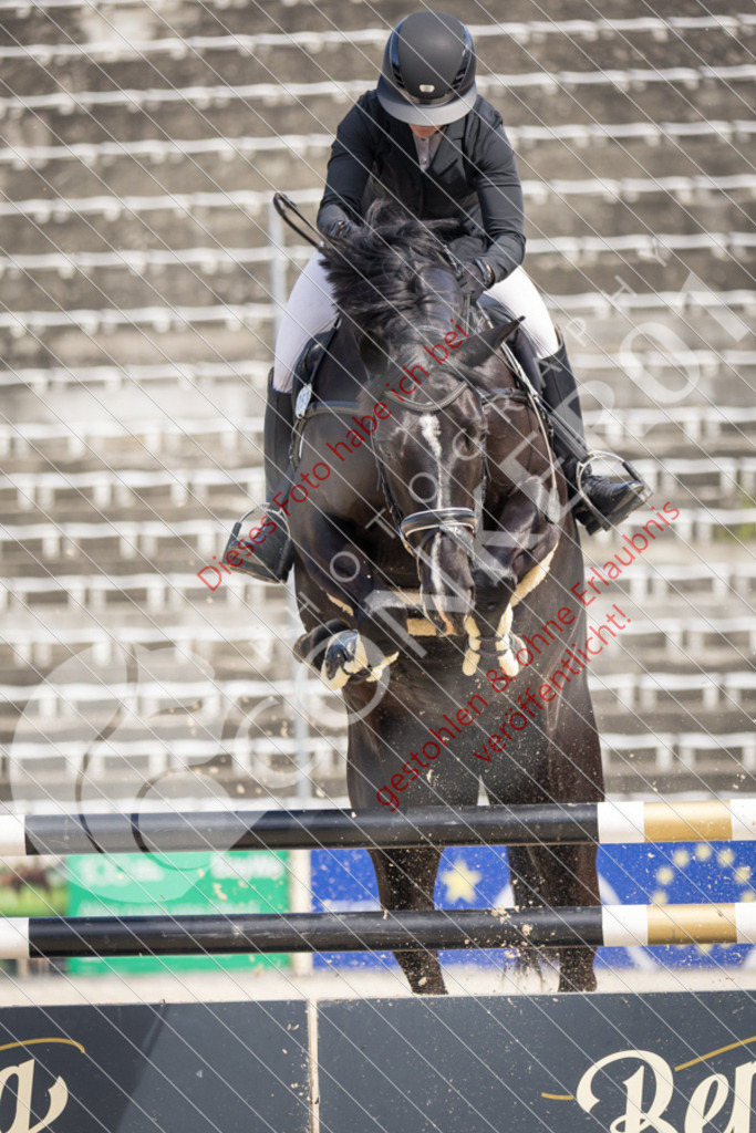 IMG_4980 | Sport-, Event- und Tierfotos in Profiqualität. Einfach auswählen, bestellen und herunterladen. Dein Moment – perfekt festgehalten.