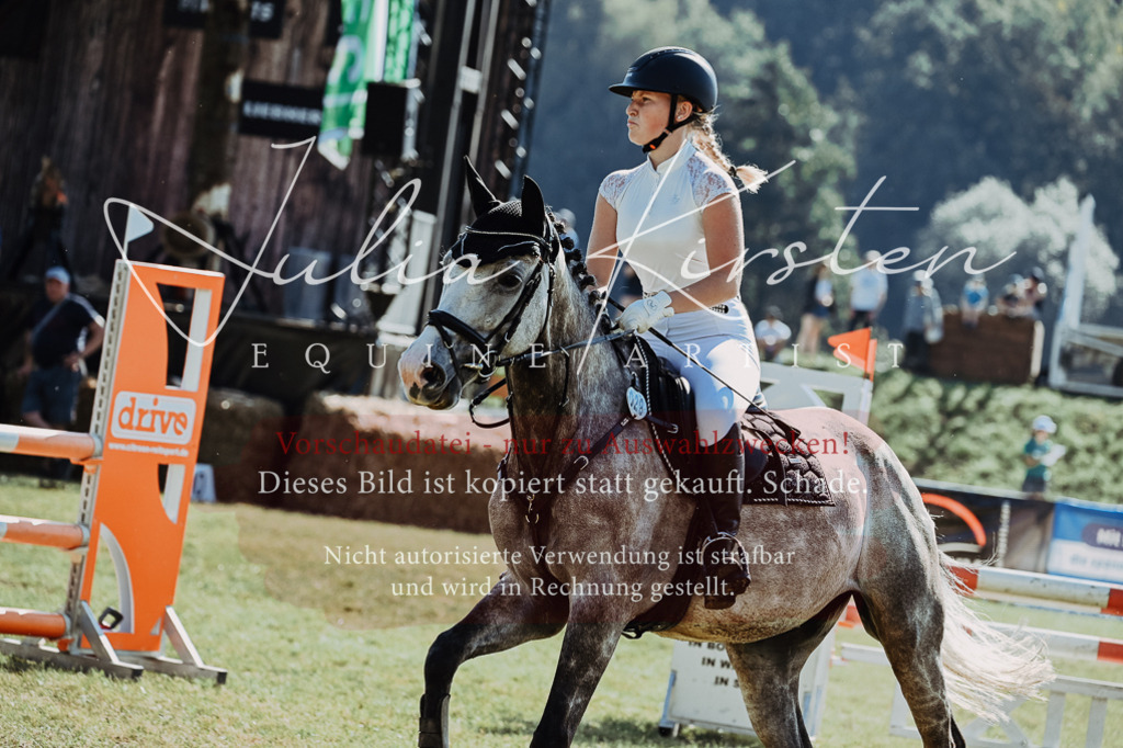 DSC_5512 | Pferde- und Turnierfotografie in Westsachsen. Pferdeportraits, Auftragszeichnungen und intuitive Kunst.