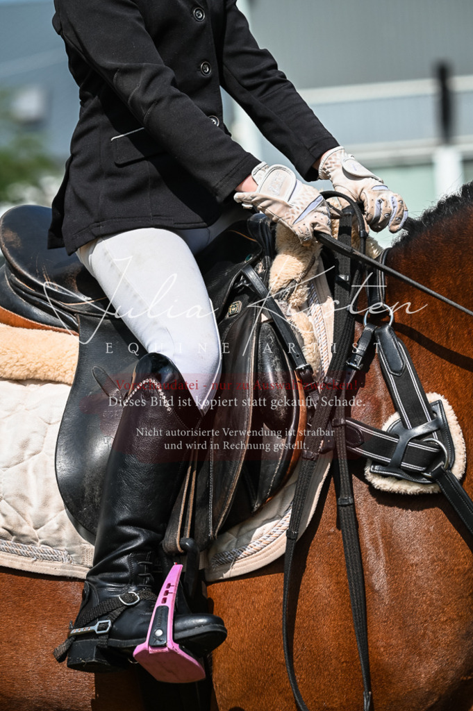 DSC_8509 | Pferde- und Turnierfotografie in Westsachsen. Pferdeportraits, Auftragszeichnungen und intuitive Kunst.