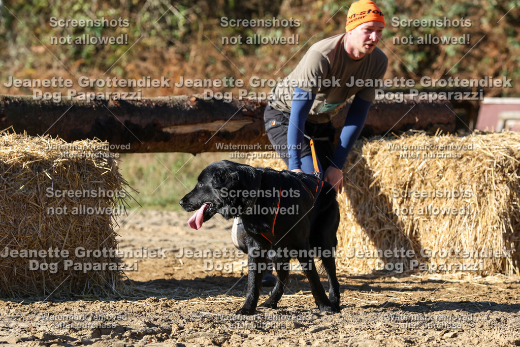 Dog Paparazzi - Strongdog 10-25-2215 | Dog Paparazzi Jeanette Grottendiek Fotografie & Videografie - Realisiert mit Pictrs.com