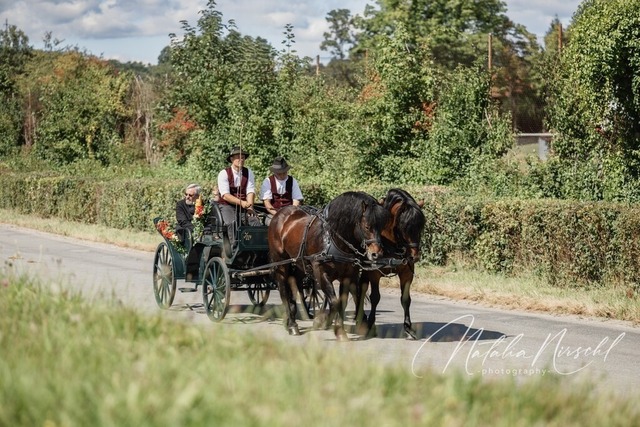 7V6A1200 | natalia-nirschl-photography