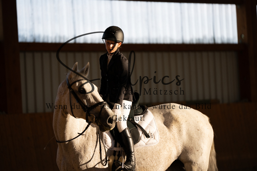 A7V01582 | Turnier/Reitfotograf