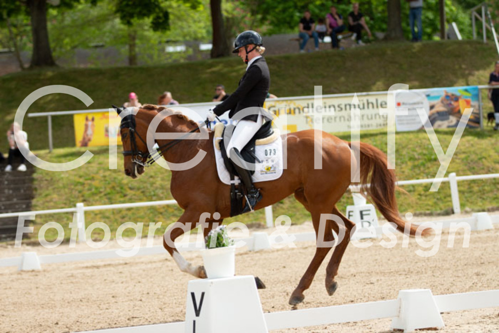 IMG_6855 | Creatify Fotografie