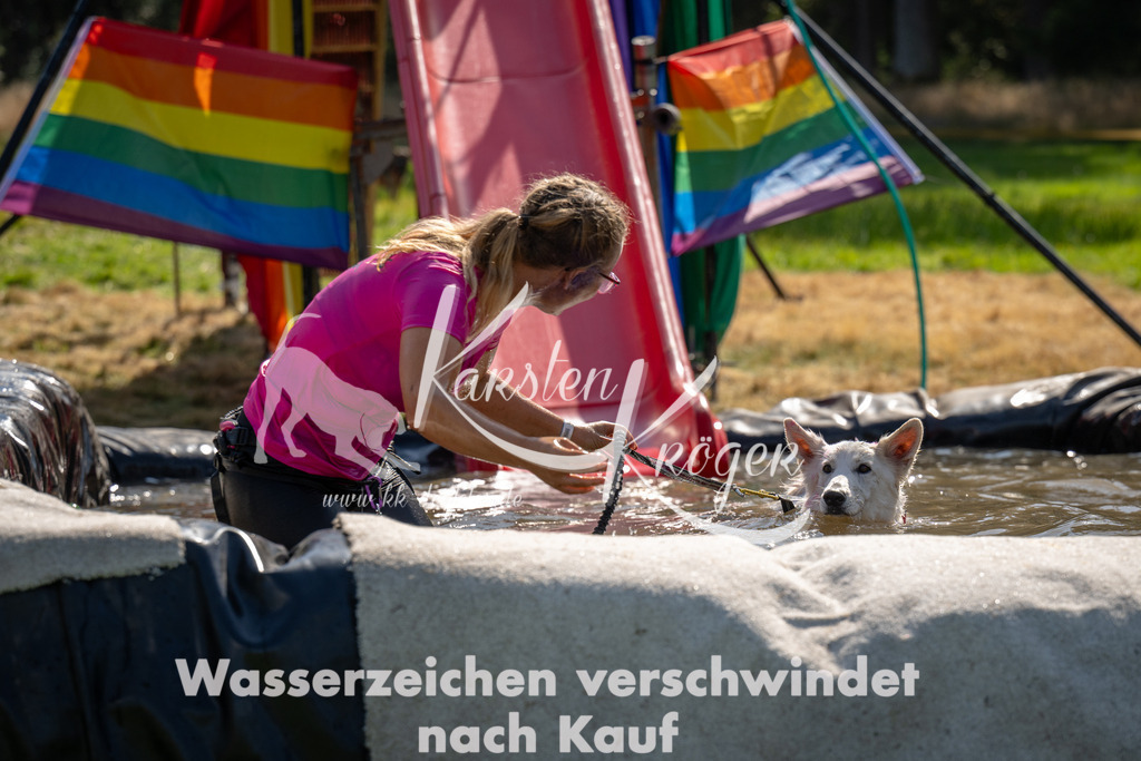 1436_ZZ91175 | kk-dogfotos