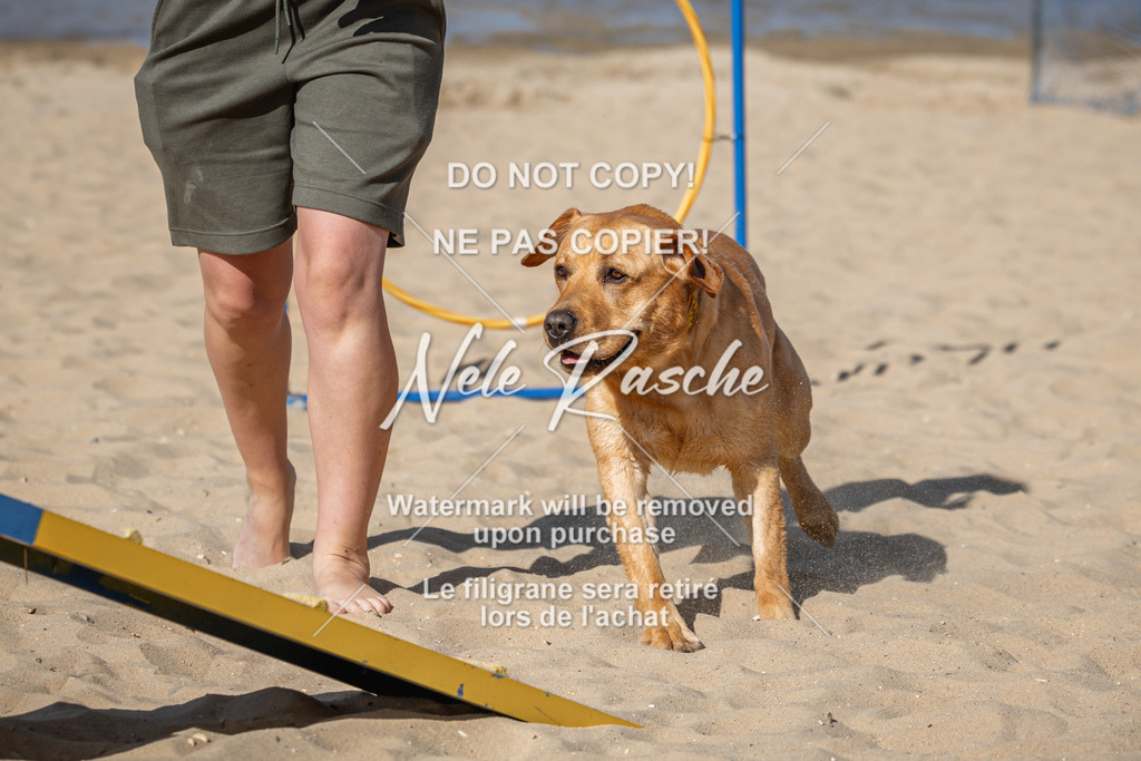 nelerasche_saBeachility_56 | nelerasche