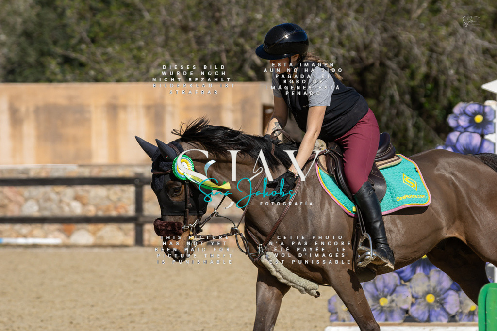 IMG_6586 | s-jay-photography - Realisiert mit Pictrs.com