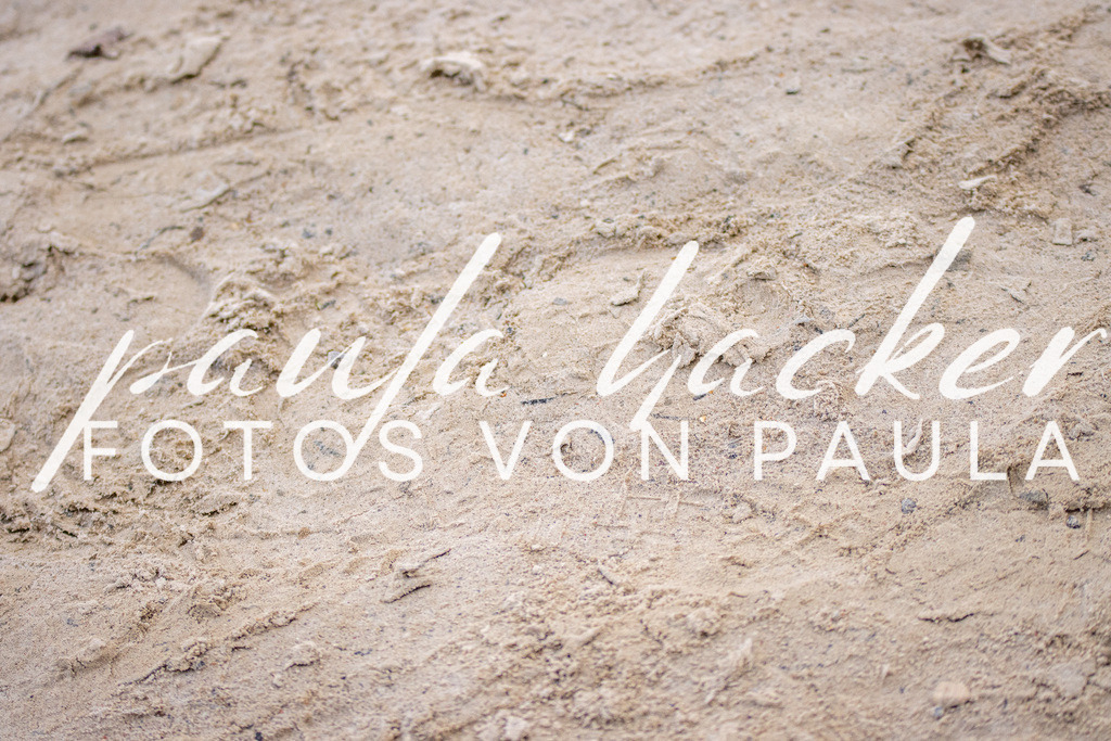 IMG_4558 | Erleben Sie dynamische Sport- und emotionale Tierfotografie in Süddeutschland mit Fotos von Paula. Spezialisiert auf Pferde- und Hundefotografie sowie Sportevents. Kontaktieren Sie mich für einzigartige und ausdrucksstarke Bilder Ihrer besonderen Momente.