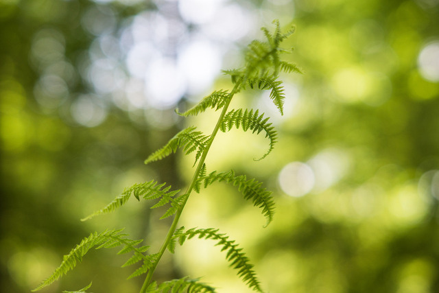 DSC08550 | Outdoorpixl Teßen OHG - Realisiert mit Pictrs.com