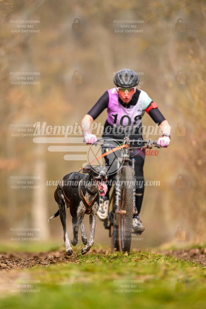 MompixPhotography_Schwabentrail2024_Bike-67 | PayLife