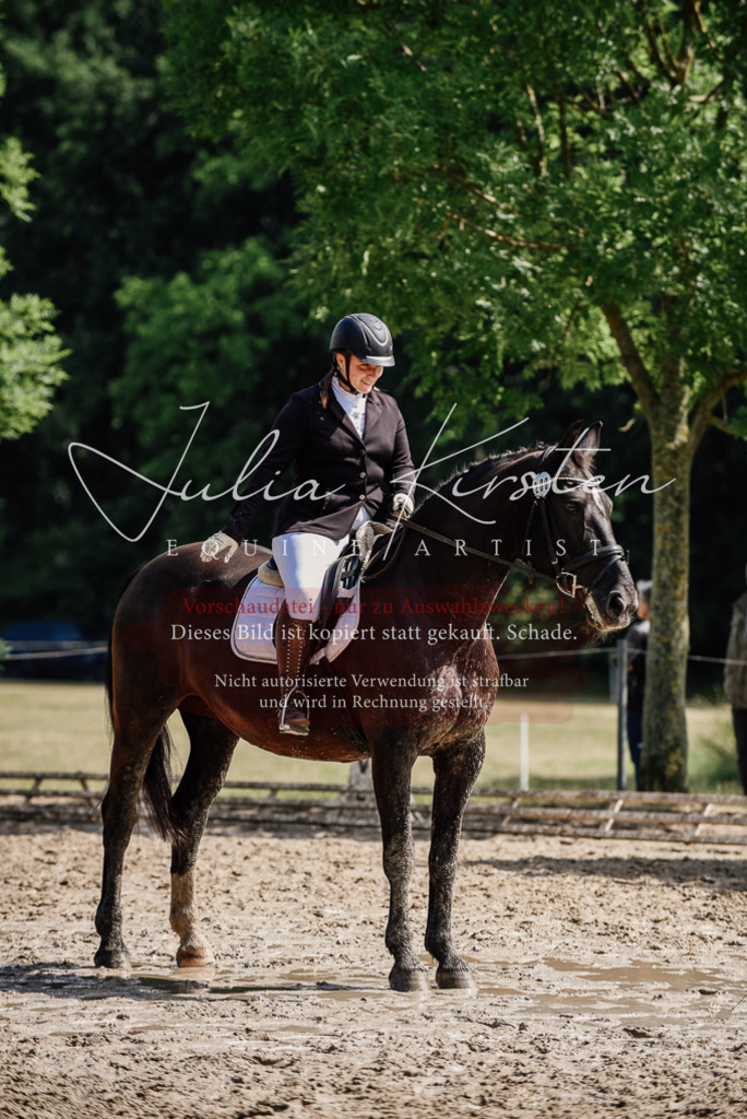 DSC_0165 | Pferde- und Turnierfotografie in Westsachsen. Pferdeportraits, Auftragszeichnungen und intuitive Kunst.