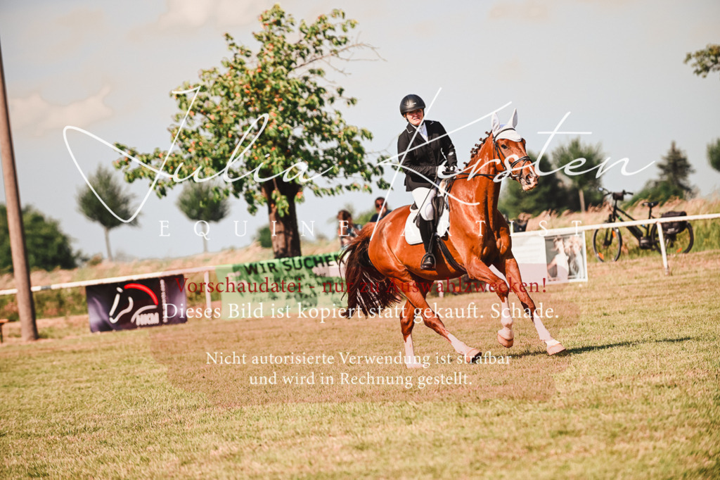 DSC_7342 | Pferde- und Turnierfotografie in Westsachsen. Pferdeportraits, Auftragszeichnungen und intuitive Kunst.