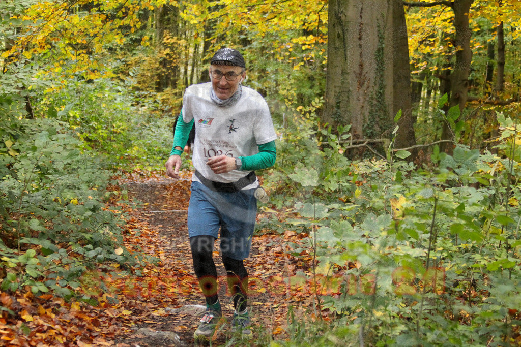 251026_1256_EV4_6139 | Sportfotografie im Rhein-Sieg Kreis, Köln, Bonn, NRW, Rheinland Pfalz, Hessen, etc. Unser Tätigkeitsfeld umfasst den Laufsport vom Volkslauf über den Marathon, Duathlon, Triathon bis zum Ultralauf wie Kölnpfad Ultra oder Schindertrail.